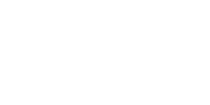 Pontem logo white rectangle transparent